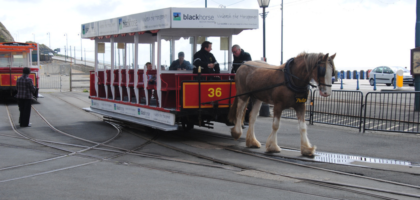 Дугласский конный трамвай