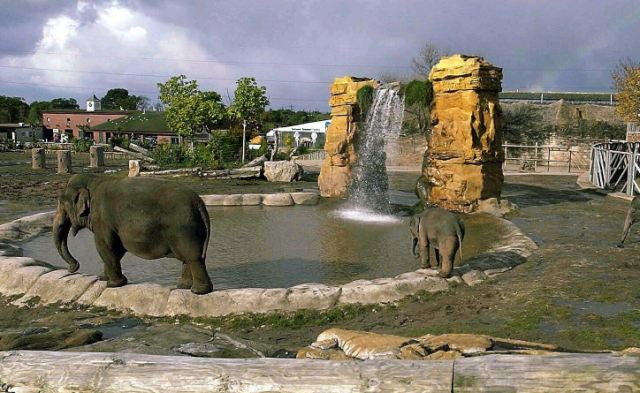 Chester Zoo Vets Feature- G/v Of Elephants Enclosure.